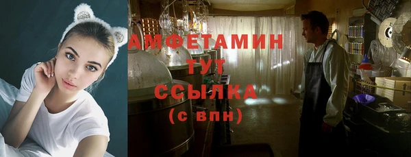 шишки Ладушкин