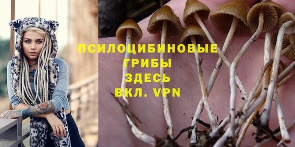 дживик Волосово