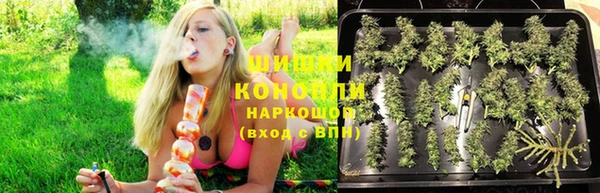 шишки Ладушкин