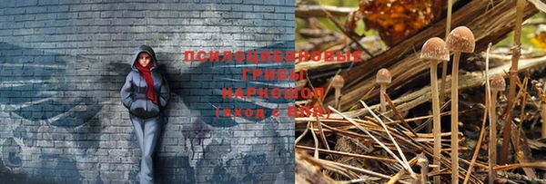 дживик Волосово