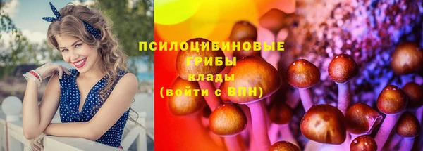 дживик Волосово