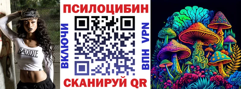 Галлюциногенные грибы Cubensis Елец